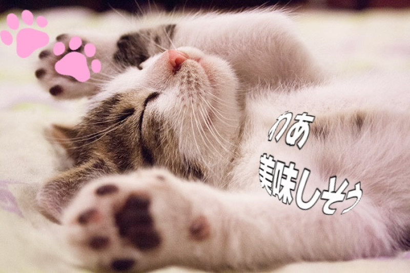 ひなたの写メ